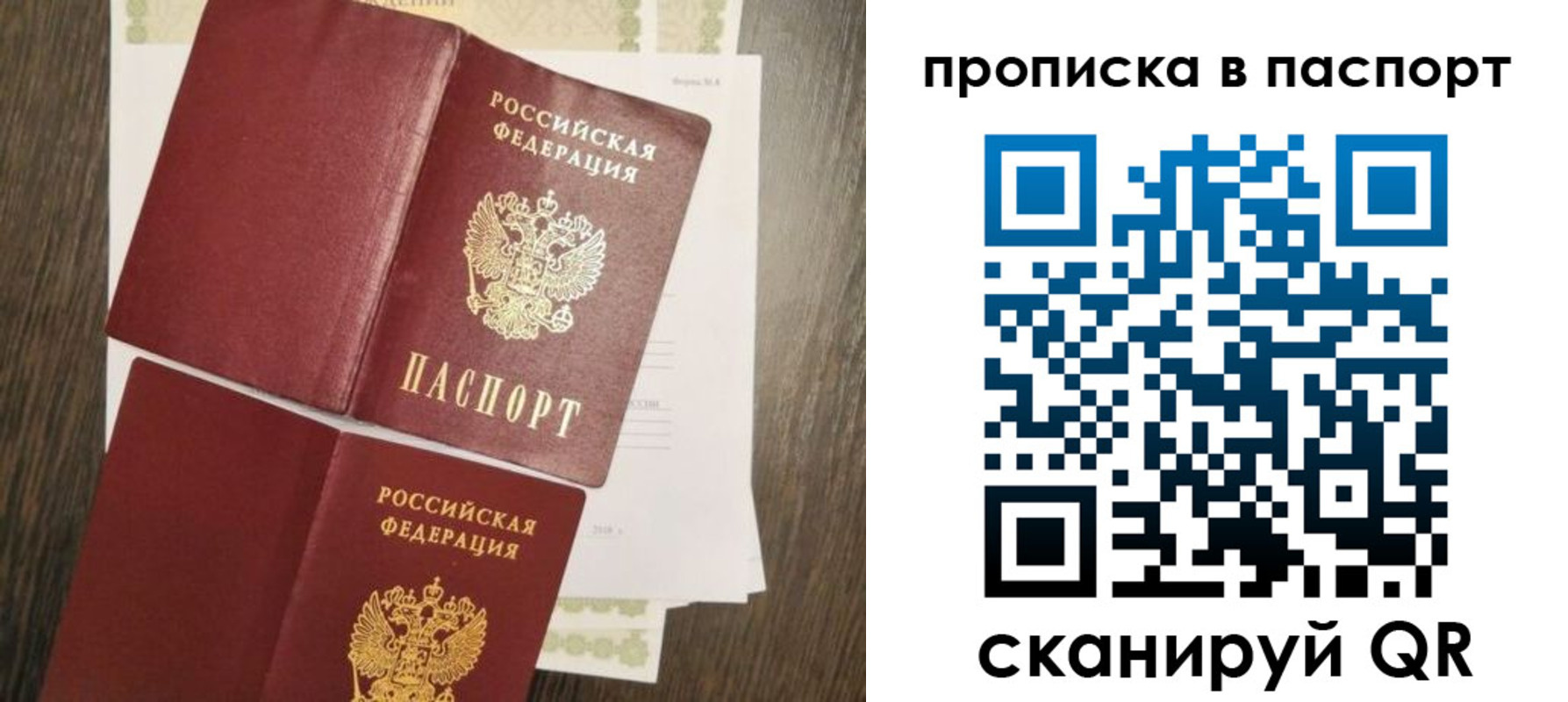 прописка гарантия в Балтийске