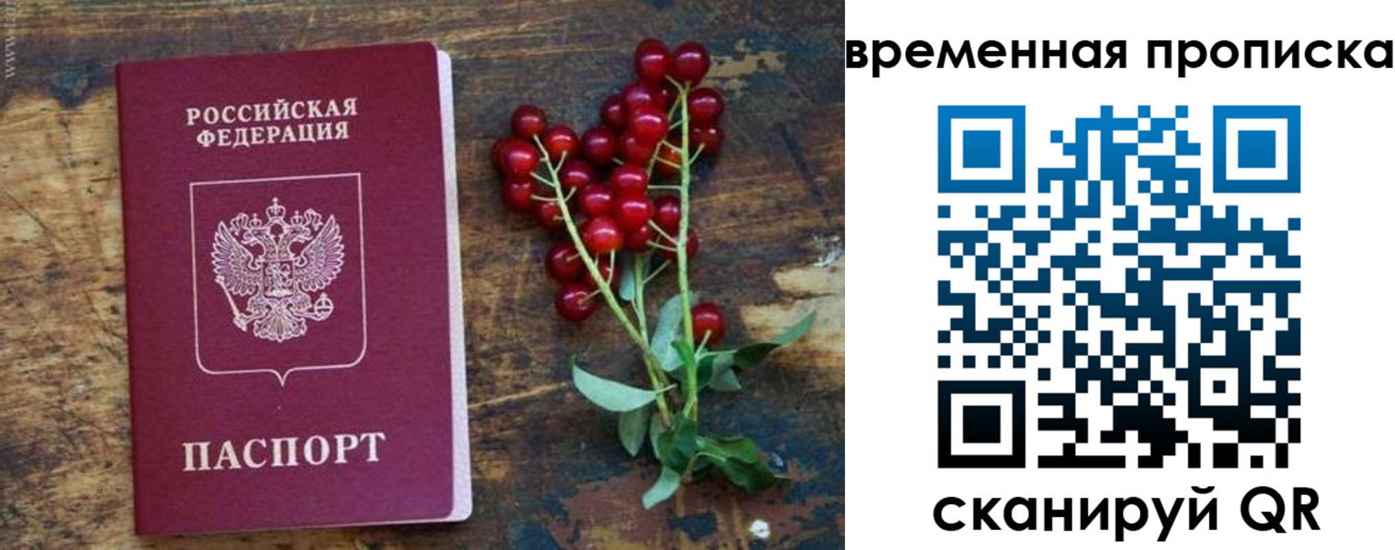 временная регистрация гарантия в Балтийске